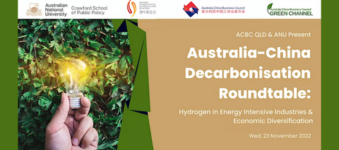 Aus-China Decarbonisation Roundtable: Hydrogen & Economic Diversification