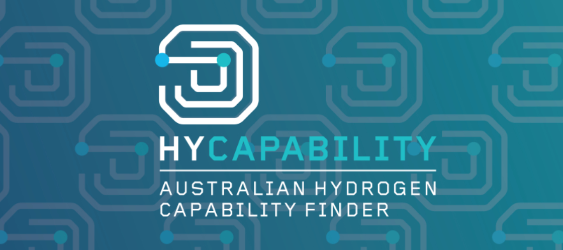 Hy Capability web size