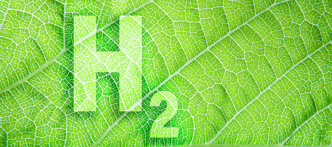 Green hydrogen leaf