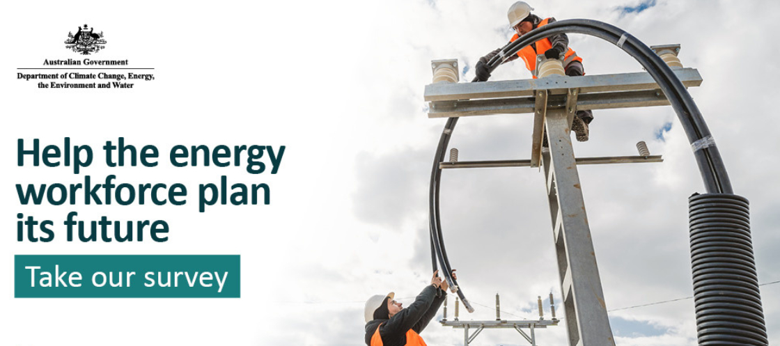 Energy workforce survey