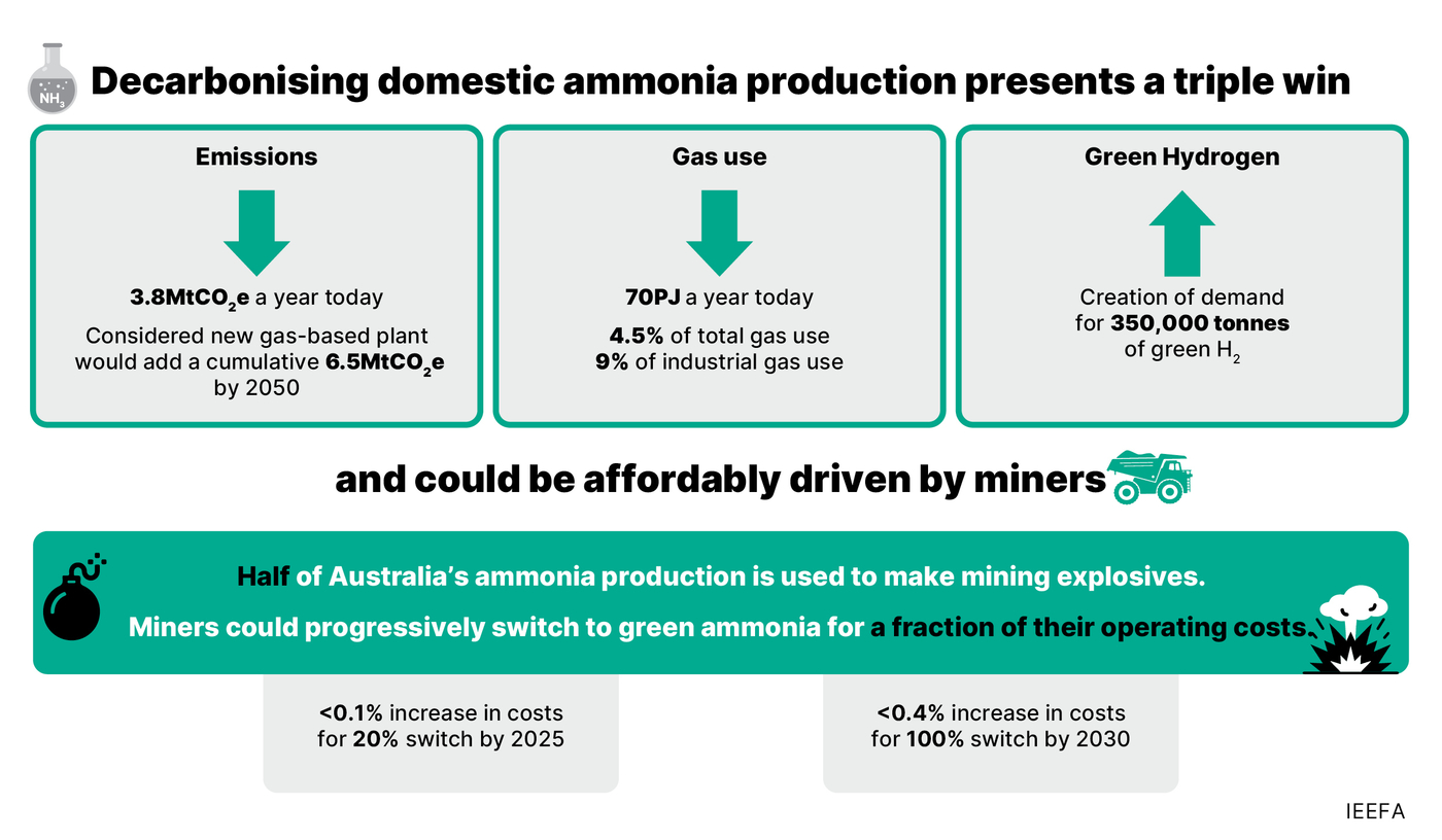 Ammonia infographic IEEFA